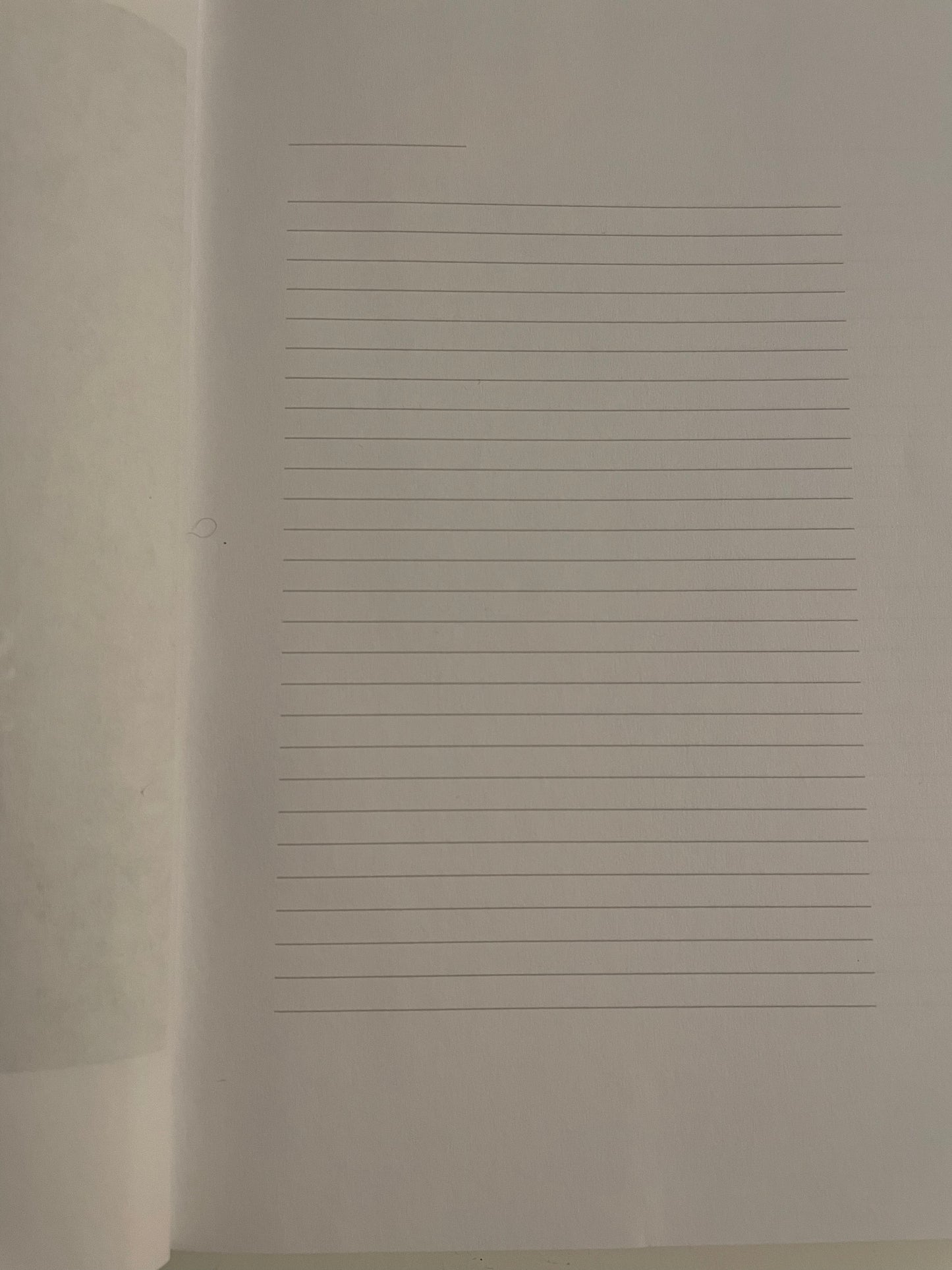 Sis, Write It Down - A Daily Journal / Blank Lined 200 Pages 6x9"